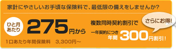 年間保険料・ひと月あたり275円から